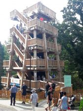 TĘŻNIA GŁUCHOŁAZY FOT. 1