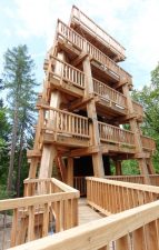 TĘŻNIA GŁUCHOŁAZY FOT. 5