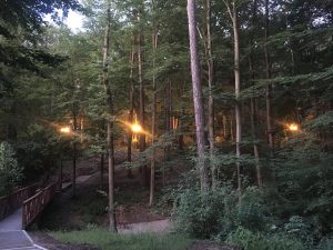 park po realizacji ul. Parkowa