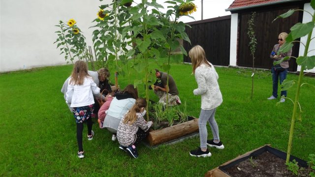 III miejsce - Kadłub