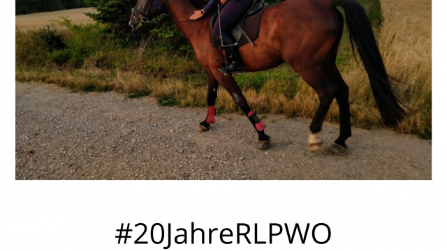 Foto: Team Internationales