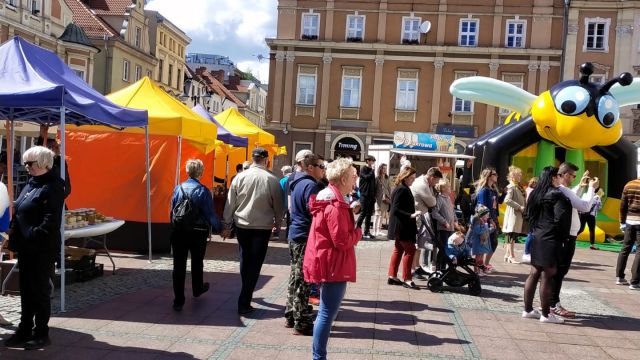 Opolski festiwal pszczelarski