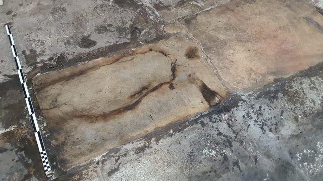 Katedra umowa płyty