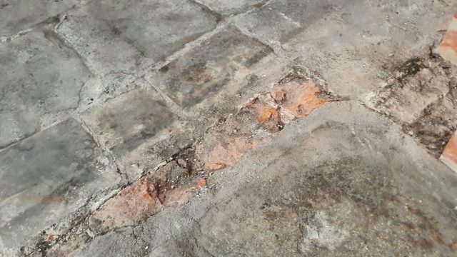 Katedra umowa płyty