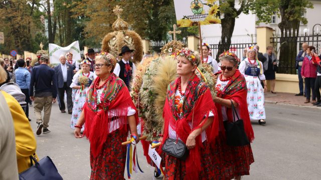 Korony dożynkowe
