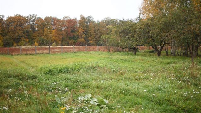 Przekazanie działki w Pokoju