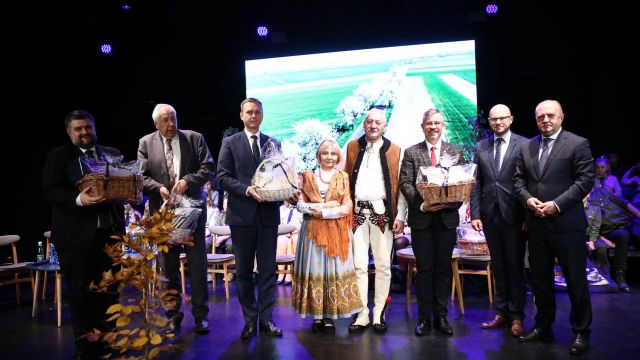 Podsumowanie obchodów rocznicy powsyań śląskich