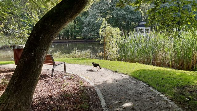 Ośrodek Leczenia Odwykowego w Woskowicach Małych