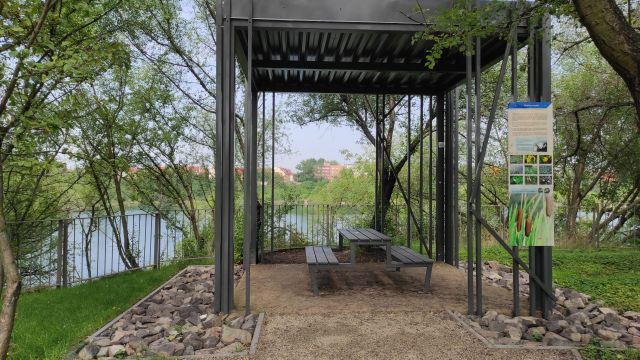 Zagospodarowanie Kamionki Piast w Opolu