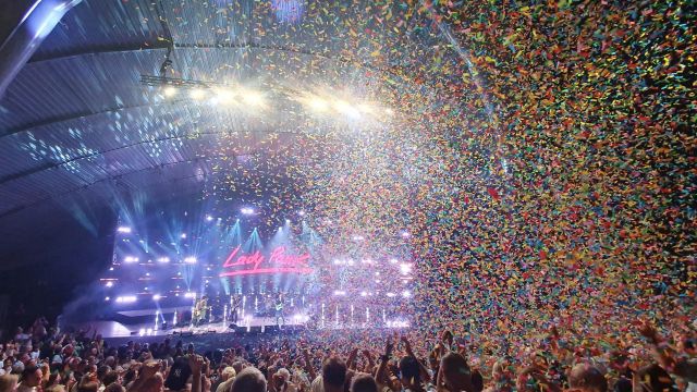 Koncert Schody do wolności