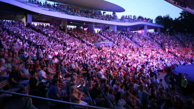Koncert Schody do wolności