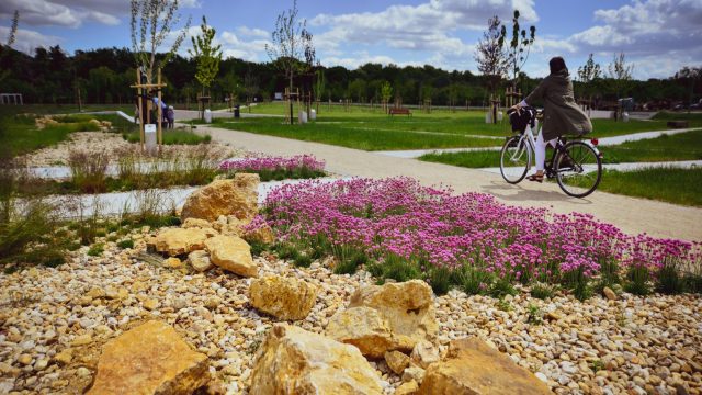 Park na Wyspie Bolko w Opolu