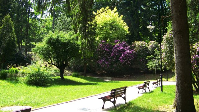 Park w Głuchołazach