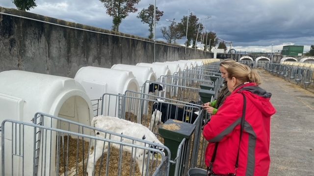 Misja gospodarcza w Saksonii