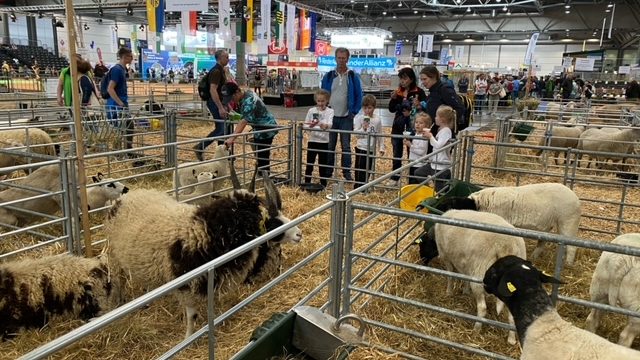 Misja gospodarcza w Saksonii