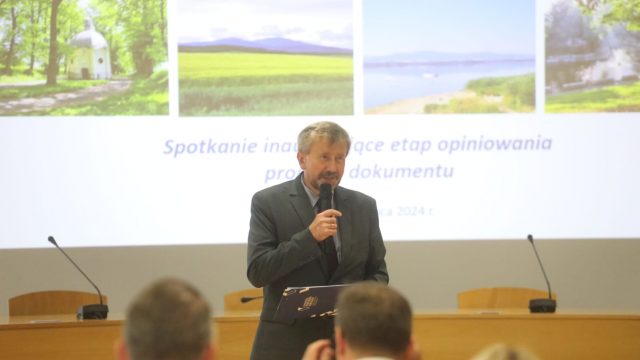 Prezentacja wyników audytu