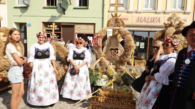 Wojewódzki Konkurs Koron Dożynkowych 2024