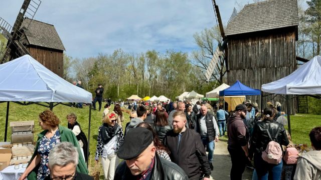 Opolskie instytucje kultury