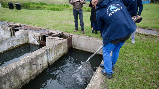 Opolskie stawia na ryby