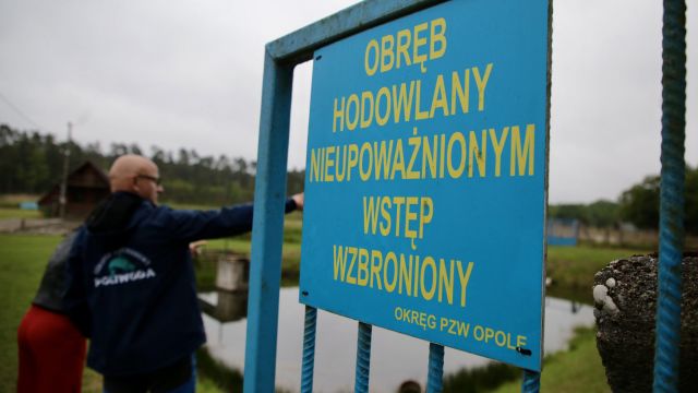 Opolskie stawia na ryby