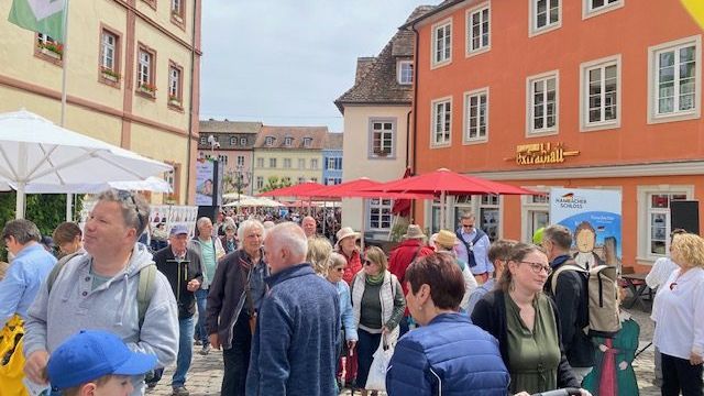 Dni Nadrenii Palatynatu