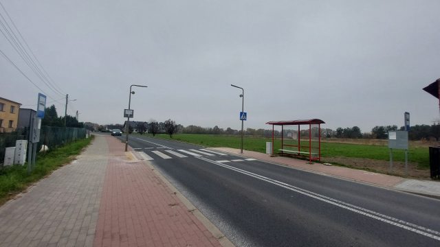 Januszkowice Super Zebra